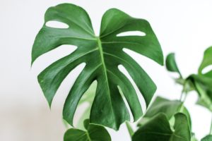 Die besten Tipps gegen Sommer-Hitze