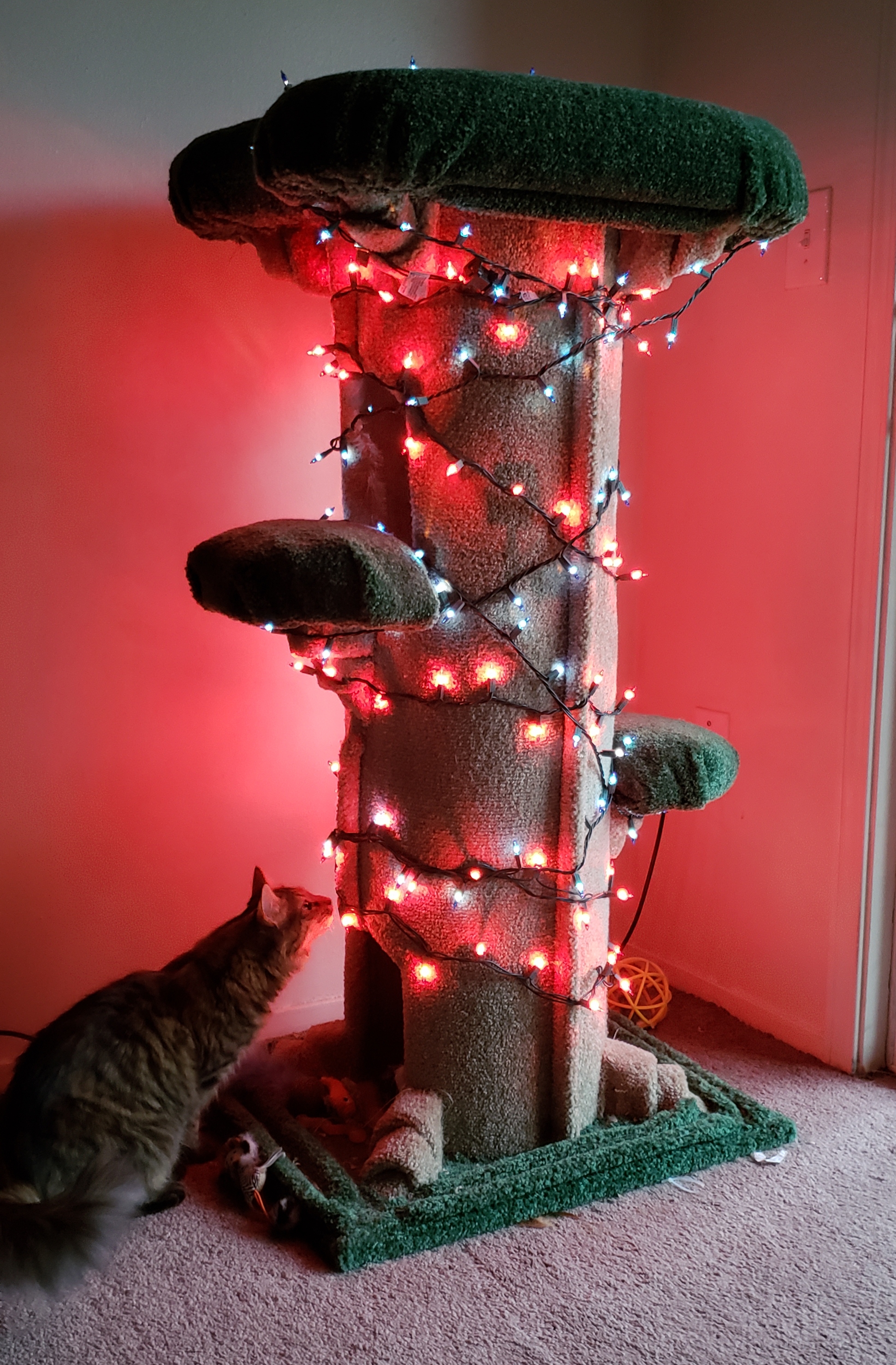 Weihnachtlicher Kratzbaum