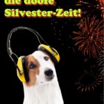 Hunden und Katzen bei Angst vor Böllern zu Silvester helfen