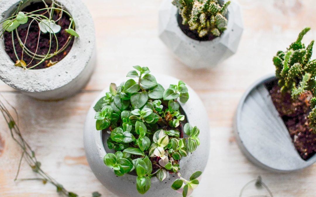 5 tolle DIY-Ideen mit Beton