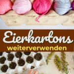 So kannst du Eierkartons verwenden.