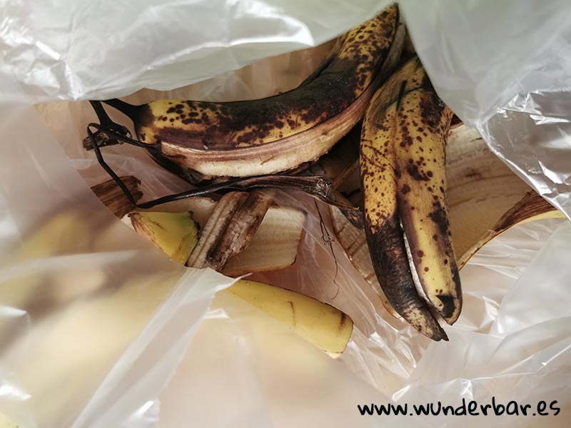 Mit Bananenschalen lassen sich Fruchtfliegen schnell und sanft entfernen