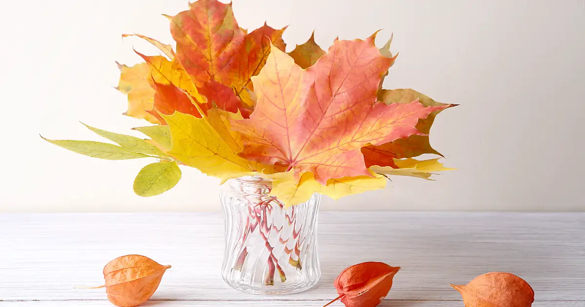 Den Herbst nach Hause holen: Blätter in einer Vase
