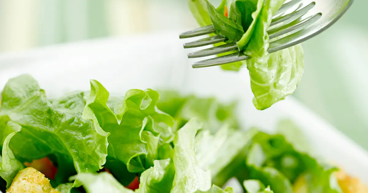 Gesunde & einfache Salat Rezepte für jeden Tag