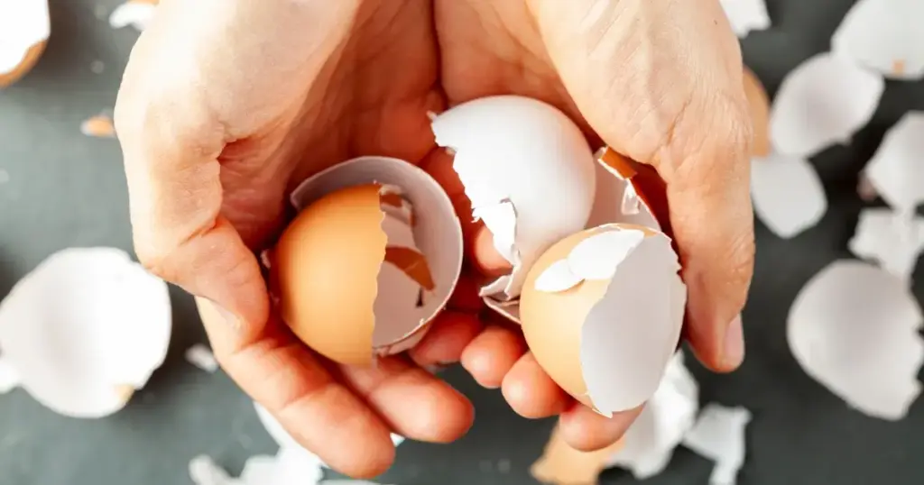 Eierschalen sind zu schade zum Wegwerfen. Nutze sie zum Basteln und als Deko