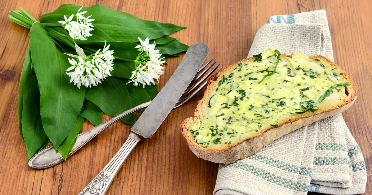 Kräuterbutter Rezept zum Grillen und Würzen