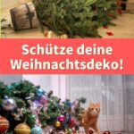 Ein schönes Weihnachtsfest trotz Katze | Weihnachtsdeko bei Katzen | Weihnachten mit Katze feiern