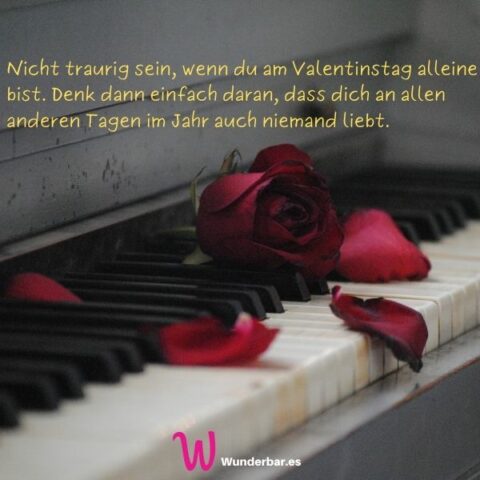 Anti Valentinstag Sprüche Liebe Grüße der etwas anderen Art