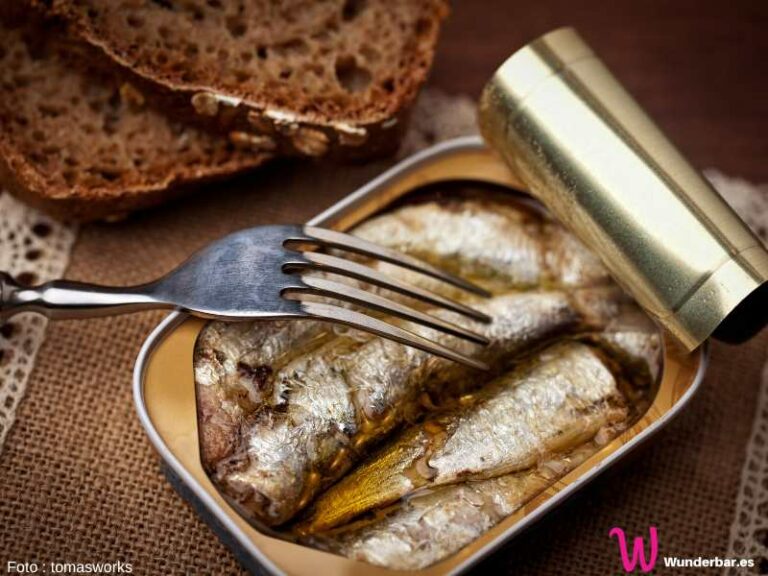 Ölsardinen 7 unwiderstehlich vielfältige Rezepte für jeden Tag