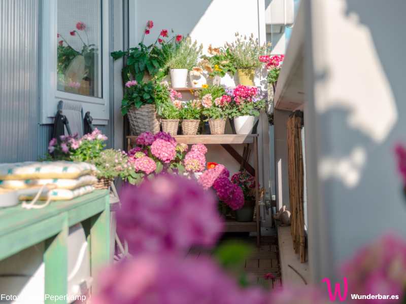 Balkon gemütlich gestalten mit Blumen und Pflanzen