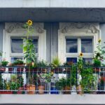 Sichtschutz für den Balkon | Privatsphäre auf dem Balkon