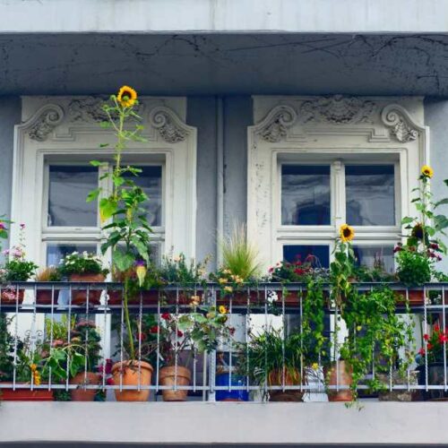 Rauchen auf dem Balkon? So hören die Nachbarn damit auf!