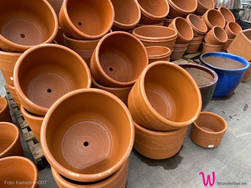 Blumentopf aus Terracotta - das Angebot ist riesig