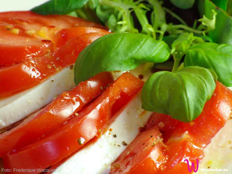 Tomaten mit Mozzarella - einfach gemacht und alle lieben es!