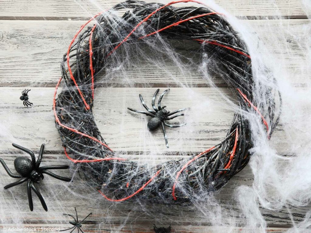 Halloween Türkranz mit Spinnenweben