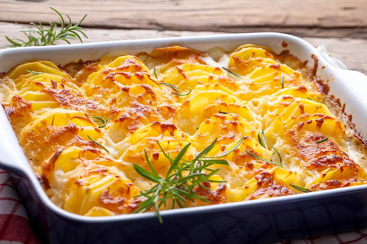 Kartoffelkäsegratin