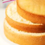 Mehrere aufgeschnittene Biskuitböden liegen aufeinander gestapelt auf einem weißen Teller. Der goldbraune Rand und die lockere, helle Krume zeigen, wie luftig und gleichmäßig der Biskuitboden gebacken ist – ideal für Torten, Kuchen oder andere Backideen. Perfekt geeignet als Symbolbild für ein gelingsicheres Biskuit Rezept.
