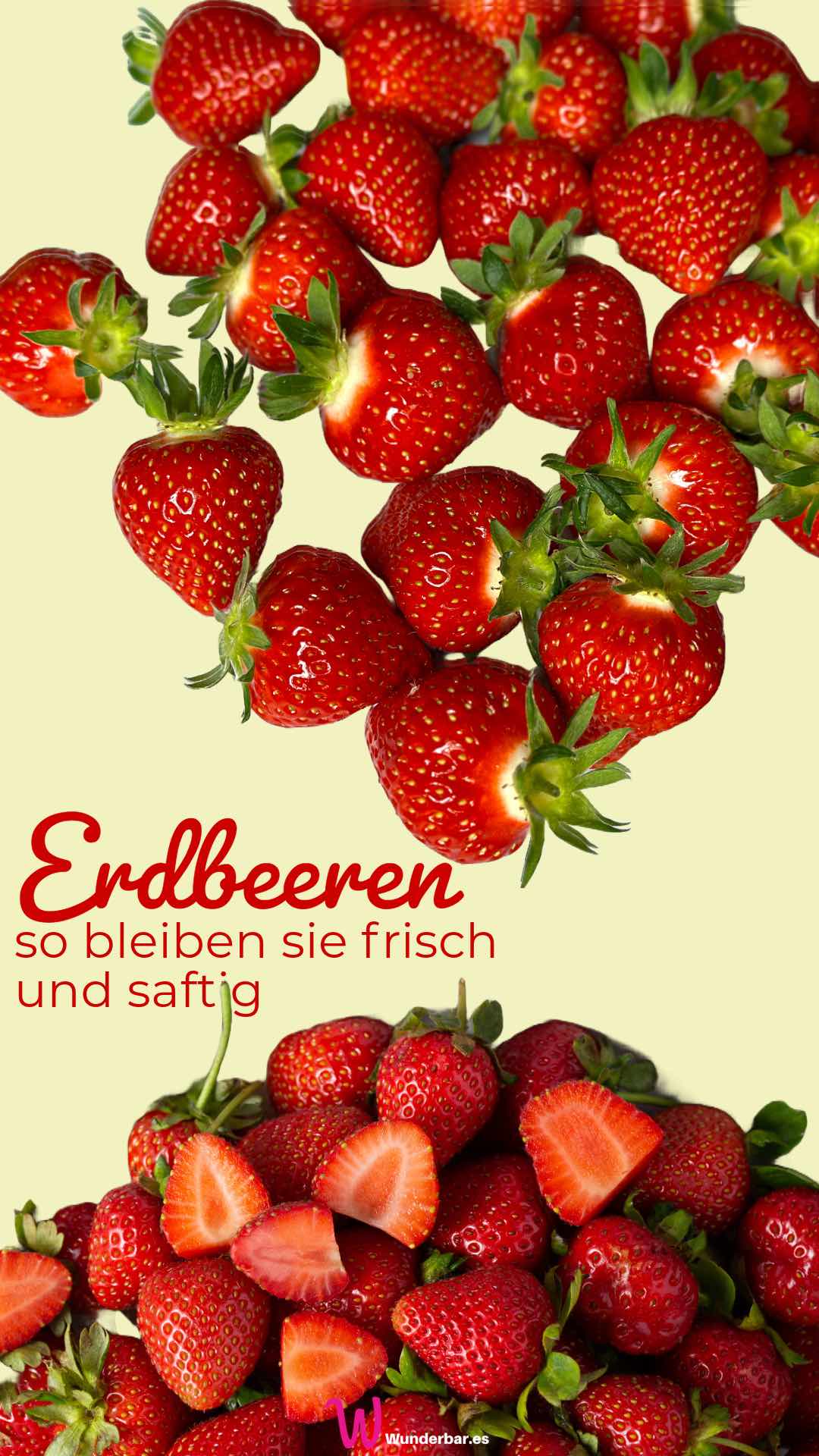 Wunderbar Erdbeeren Gewaschen Aufbewahren Ebenbild