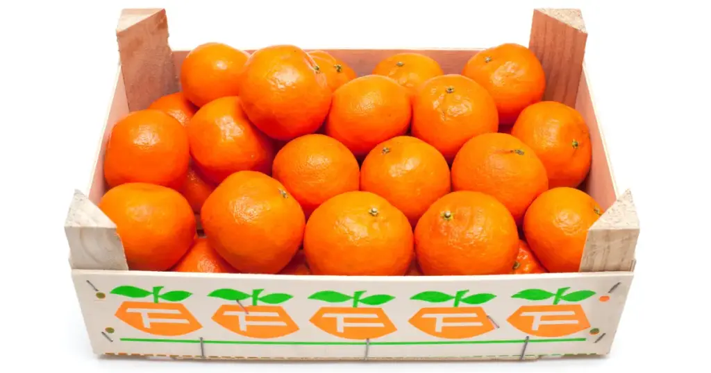 Mandarinenkisten Upcycling: Die besten kreativen Ideen zum Basteln & für Deko