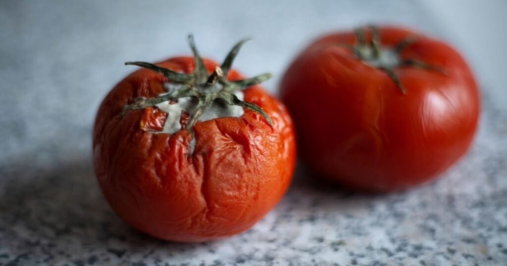 Tomaten im Kühlschrank lagern? Tipps für die richtige Aufbewahrung.