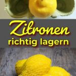 Zitronen lagern leicht gemacht – Tipps gegen Schimmel, fürs Einfrieren und zur nachhaltigen Aufbewahrung.