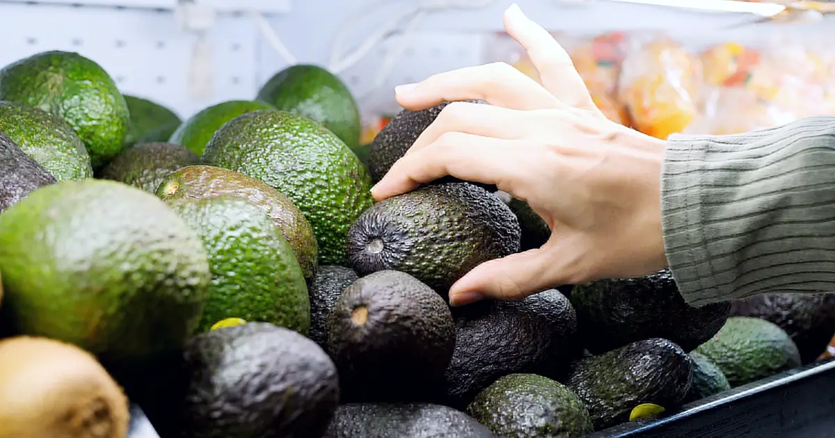 Beim Einkauf die richtige Avocado auswählen