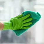 Richtig Fenster putzen | Putztipps für streifenfreie Glasfenster Fenster putzen, so werden sie streifenfrei sauber