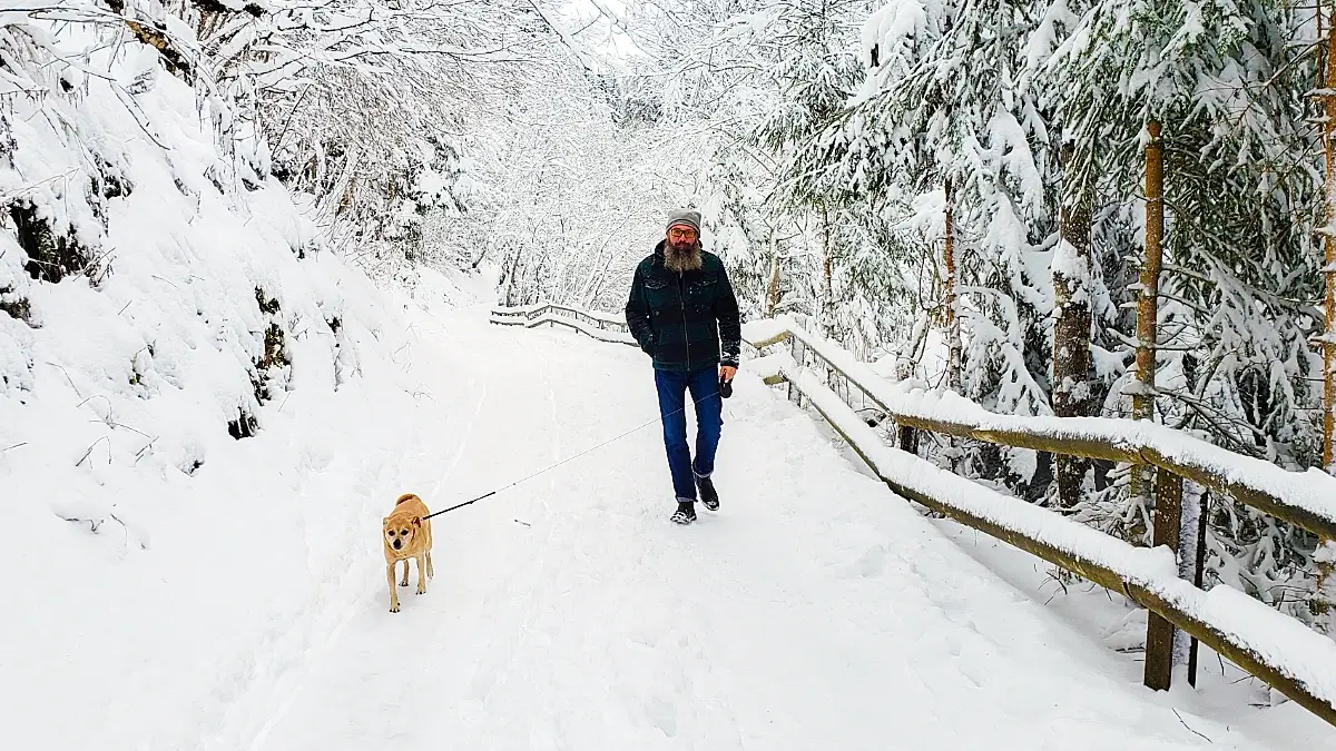 Silvester mit Hund im Harz