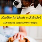 Eierlikör als Beruhigung für Hunde? Bitte nicht! Hier erfährst du, warum Alkohol lebensgefährlich ist und was wirklich gegen Silvesterangst hilft.