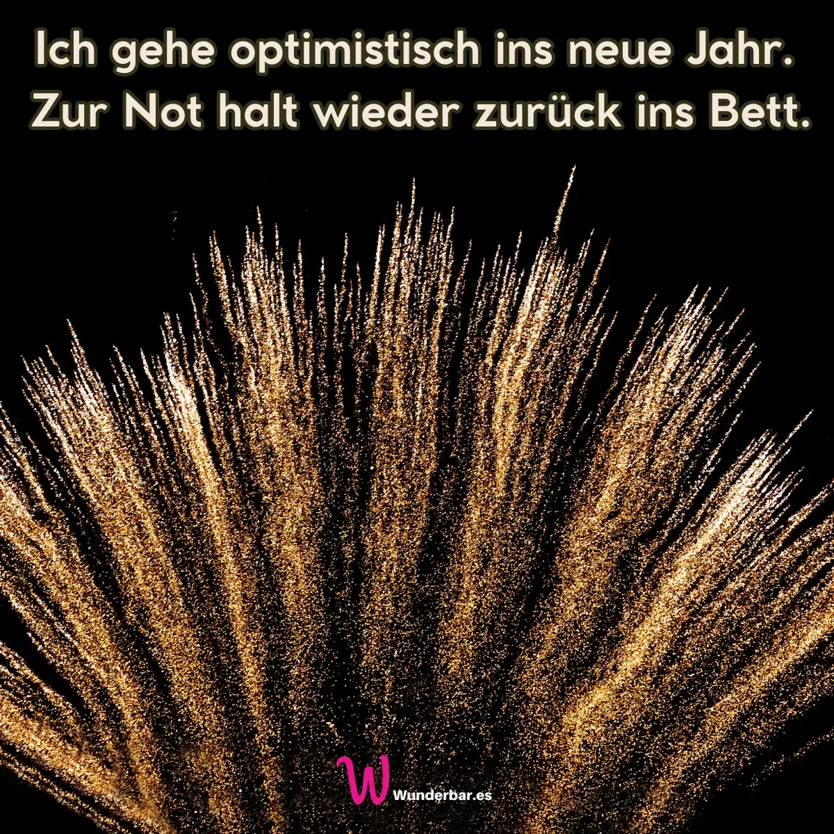 Sarkastische Silvestersprüche