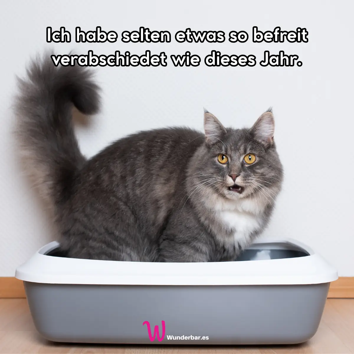 Sarkastische Silvestersprüche