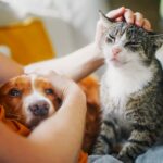 Silvesterangst mildern