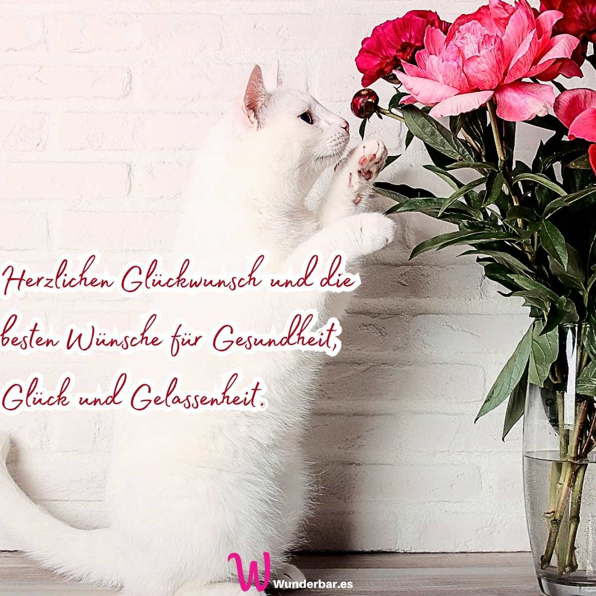 Geburtstagswünsche zum Versenden