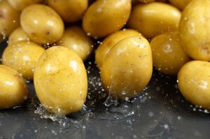 Frische Kartoffeln unter Wasser – vielseitige Grundlage für Ofenkartoffeln, Püree und Kartoffelsalat