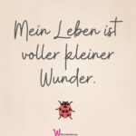 Manifestationsspruch für dein Vision Board