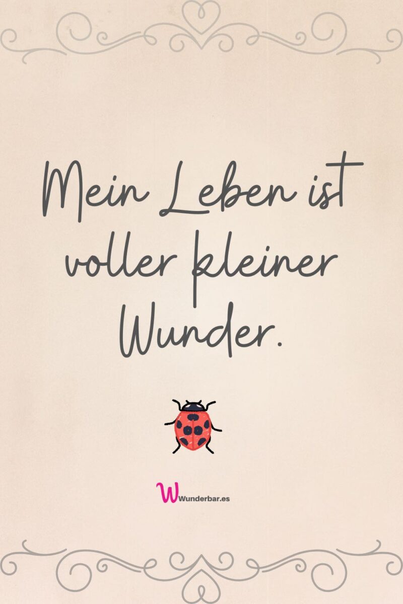 Manifestationsspruch für dein Vision Board