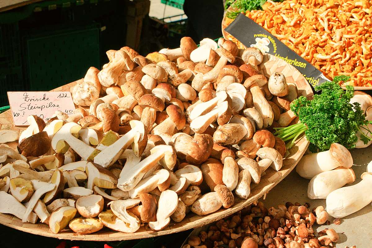 Im Herbst gibt es auf dem Markt wieder Steinpilze