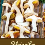 Idee für frische Steinpilze: Cremige Steinpilzpfanne mit Nudeln oder Kartoffeln.